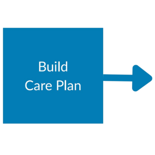 Build Care Plan