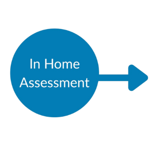 In Home Assessment
